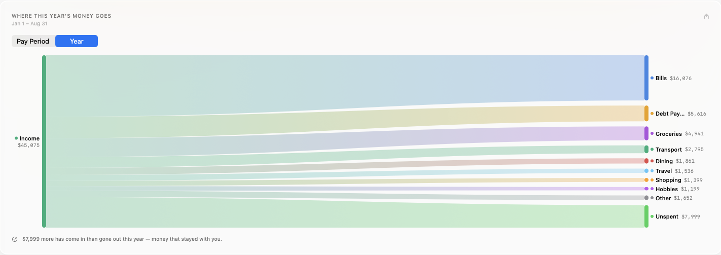 The Cash Flow diagram: a year of income on the left flowing out to Bills, Debt Payments, Groceries, Transport, Dining, Travel, Shopping, Hobbies and Other, with the unspent remainder as its own band