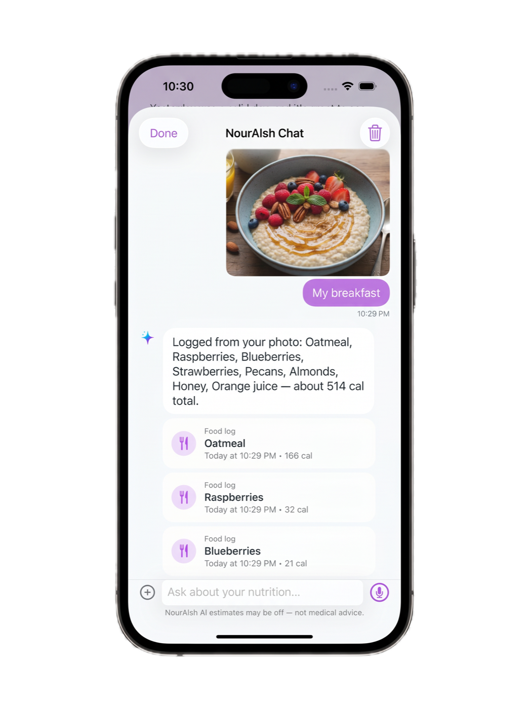 The new NourAIsh Chat on iPhone, showing a breakfast photo logged into separate Food log entries beneath the reply