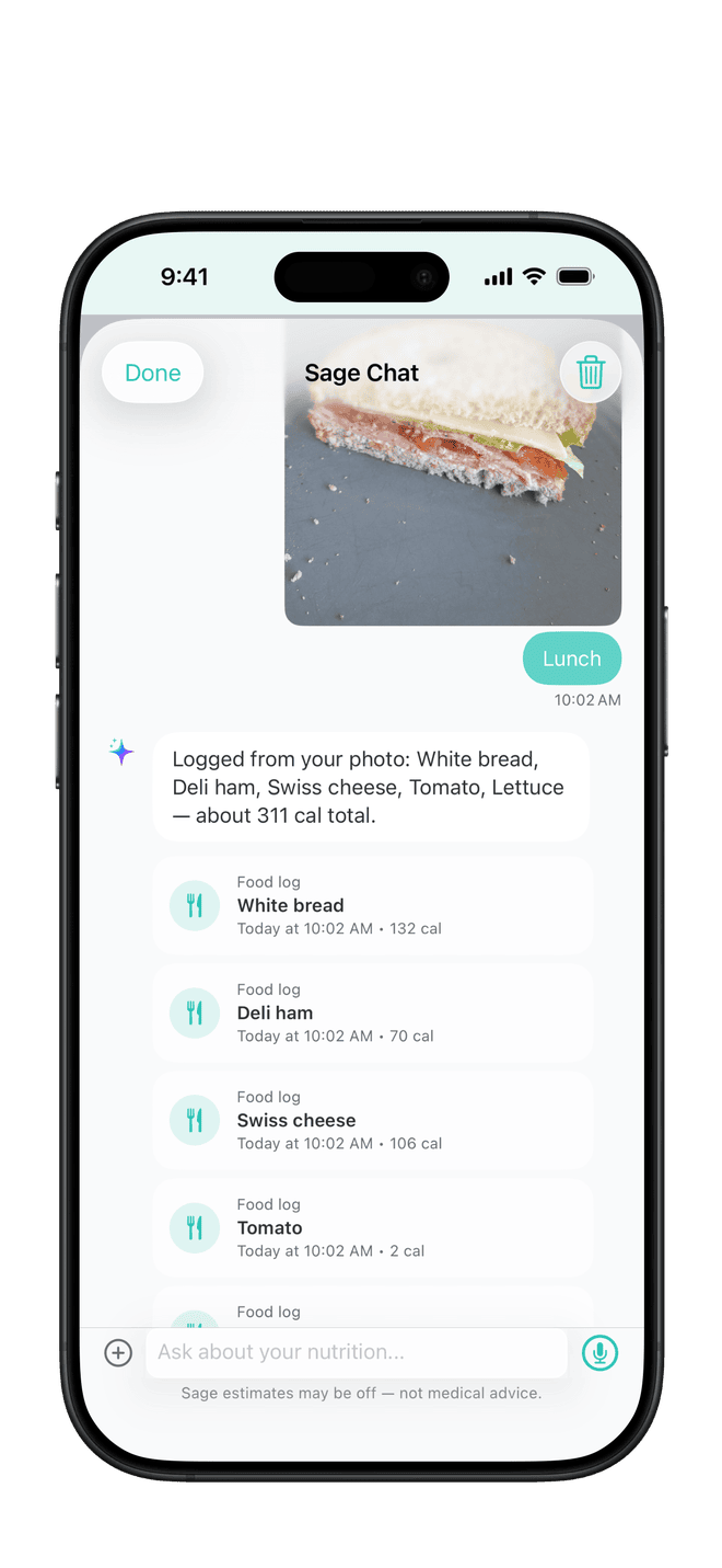 Snap to Log inside Chat with Sage — a photographed meal recognized and logged from the conversation